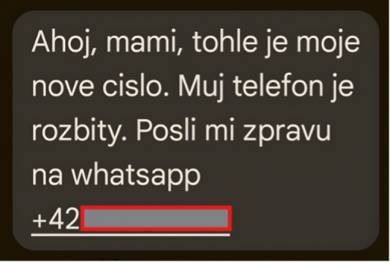 whatsapp.png